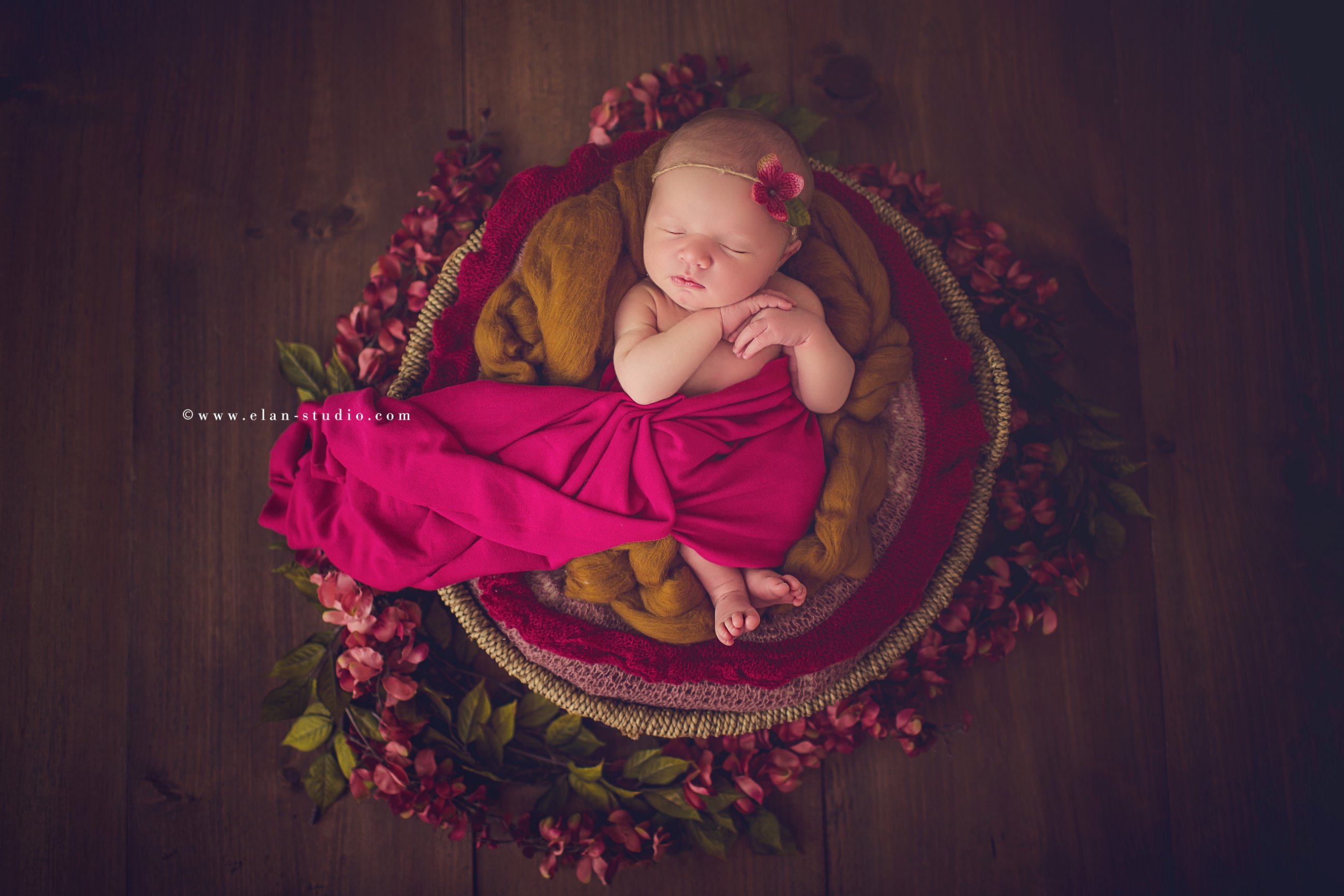 fall tones newborn baby girl with magenta and mustard blankets