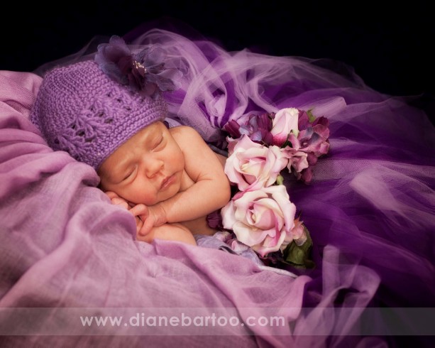 Newborn photographer riverside