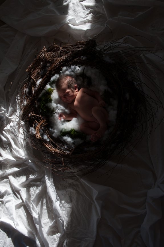 Baby Girl Newborn Portraits - Colorado