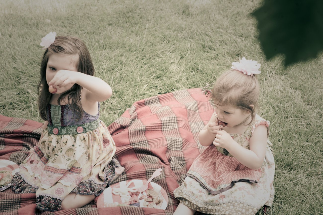 Peterson Children Portraits in Wisconsin - girls picnicing in the garden