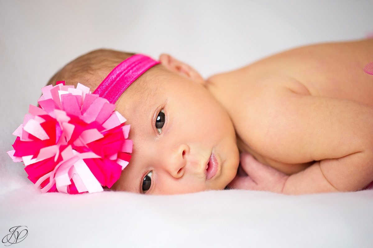 jessica painter photography albany newborn portrait photographer