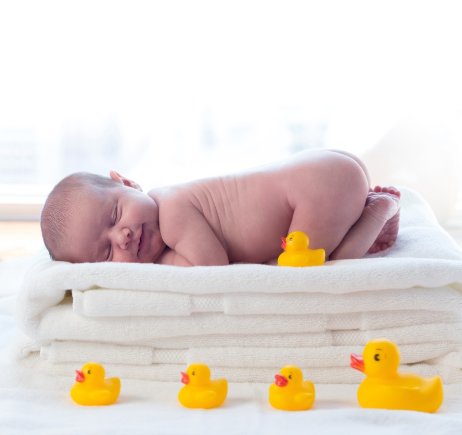Itty Bitty Newborn Session $150.00