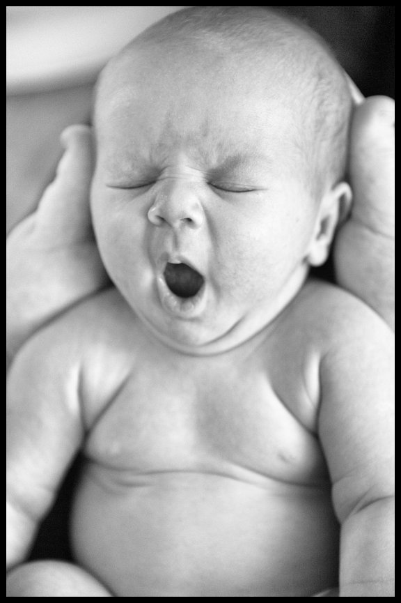 Newborn Portraits with Baby Eli