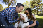 Lois and Clark -- a Hope for Paws Rescue