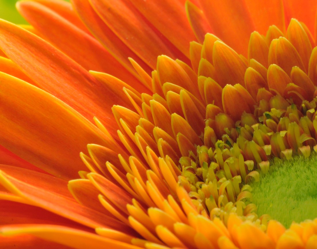 Fine Art Prints by Will