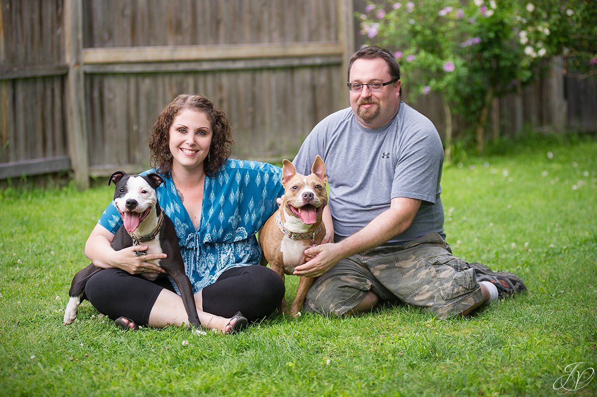 dog rescue, albany pet portrait photographer