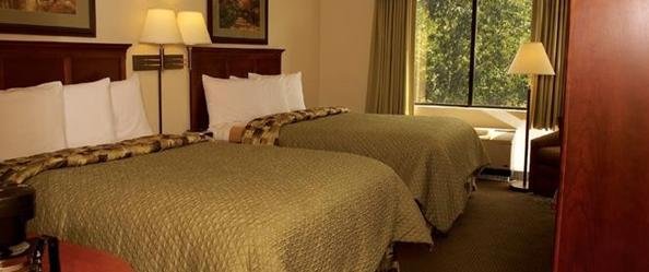 Mountain Laurel Guest Room