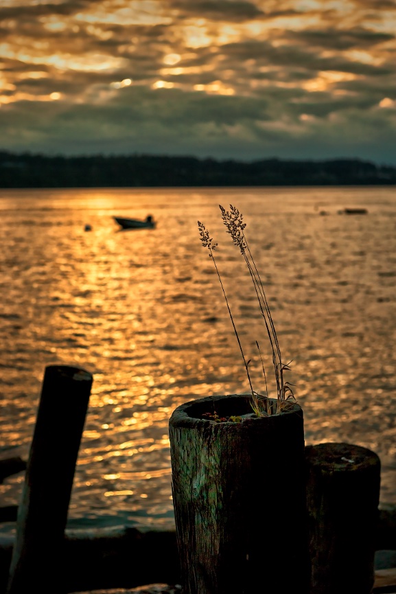 Salmon Beach Sunset - 110708-235