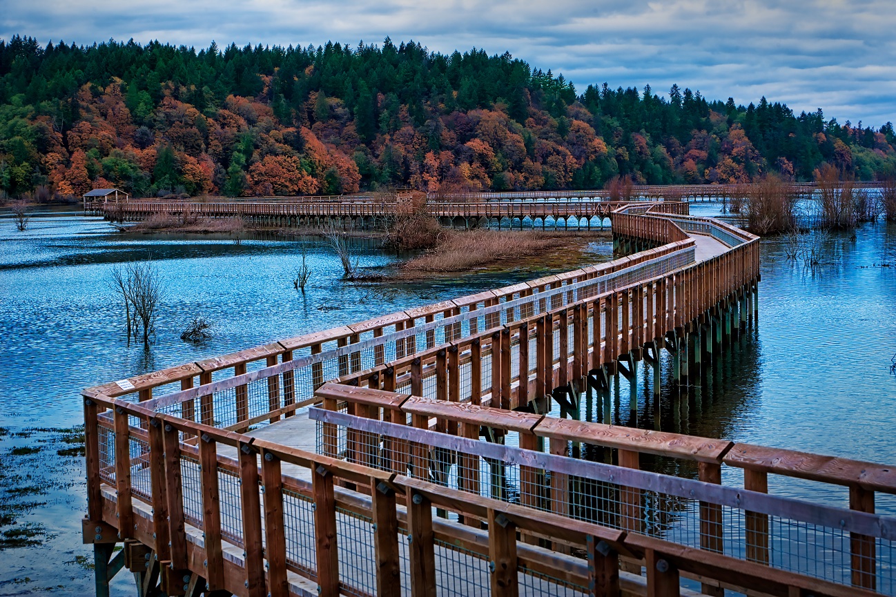 Nisqually National Wildlife Refuge - 111105-75