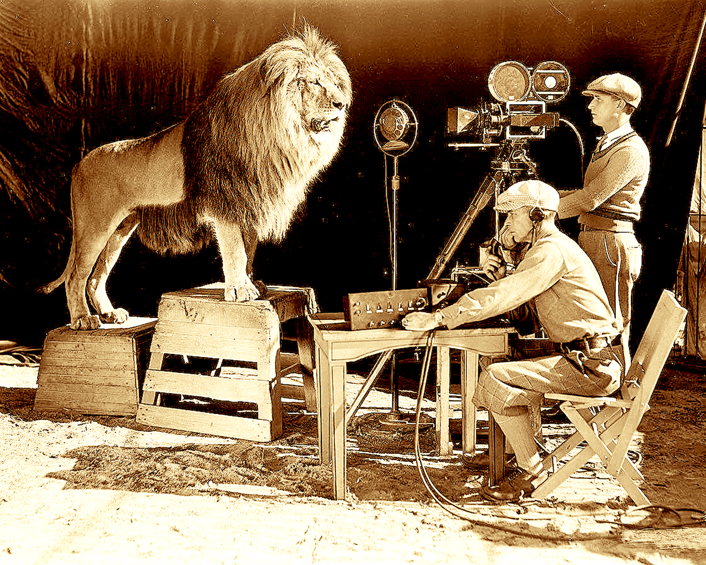 MGM LION