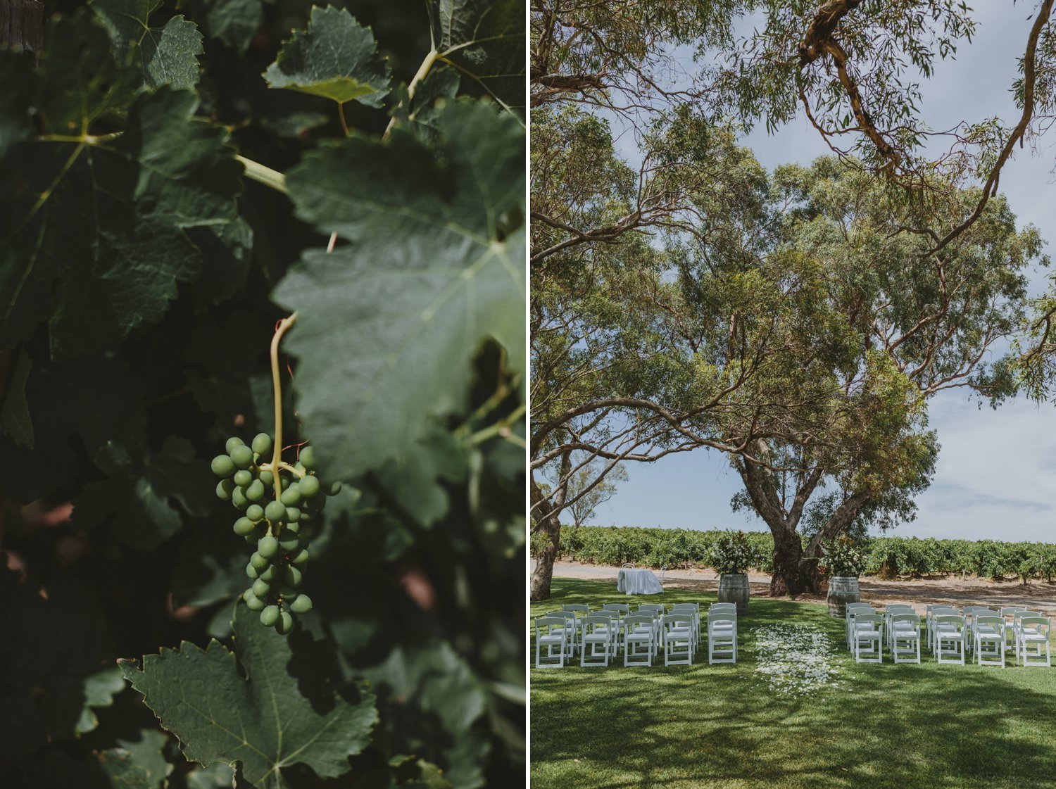 adelaide wedding photographer