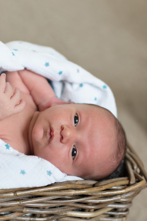 Ann Arbor Newborn Photographer