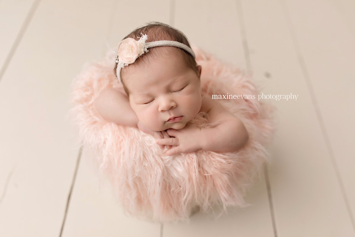 Van Nuys Newborn Baby Photography, Maxine Evans Photographer