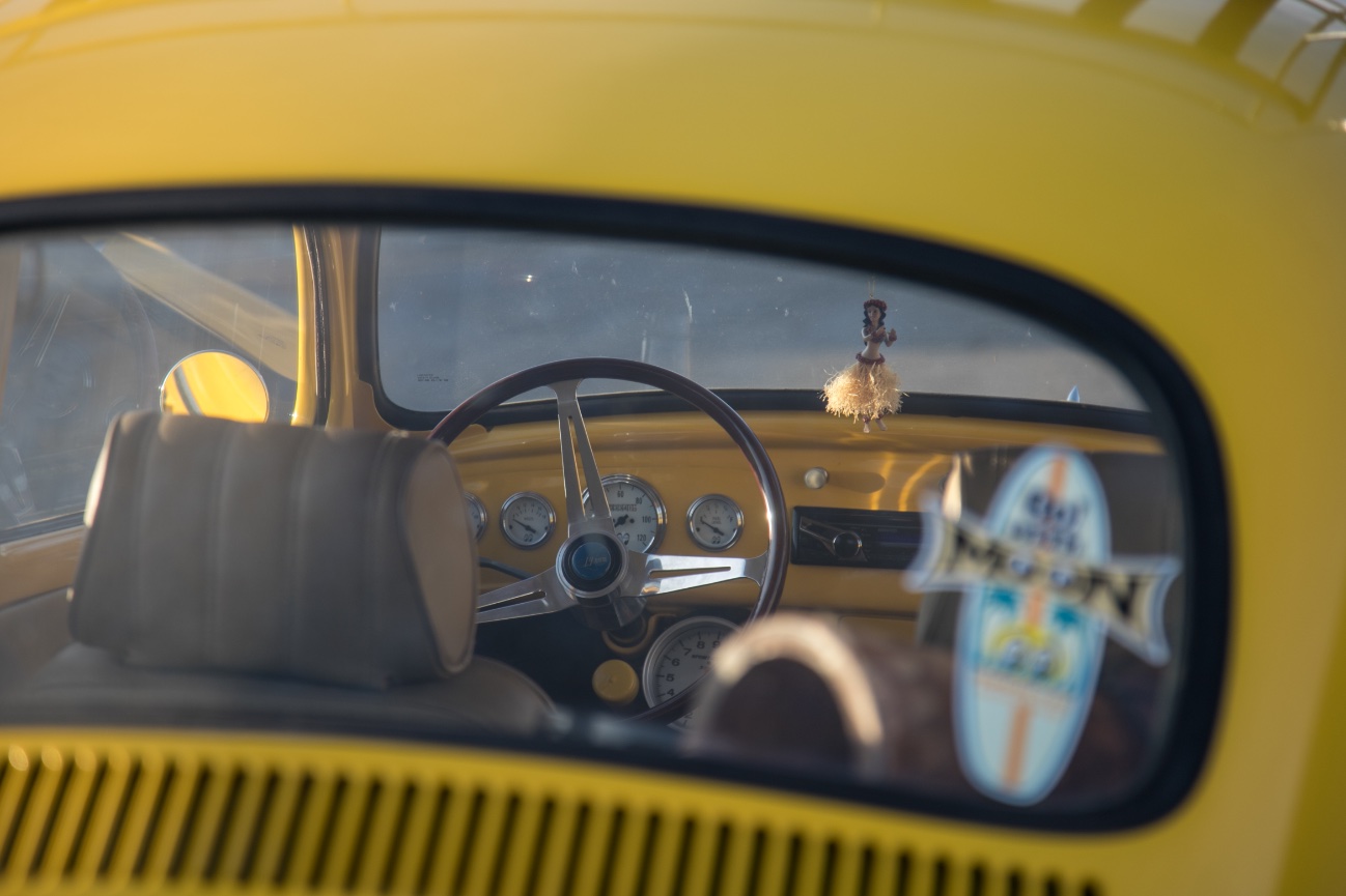 CHIHULY  Garden and Glass