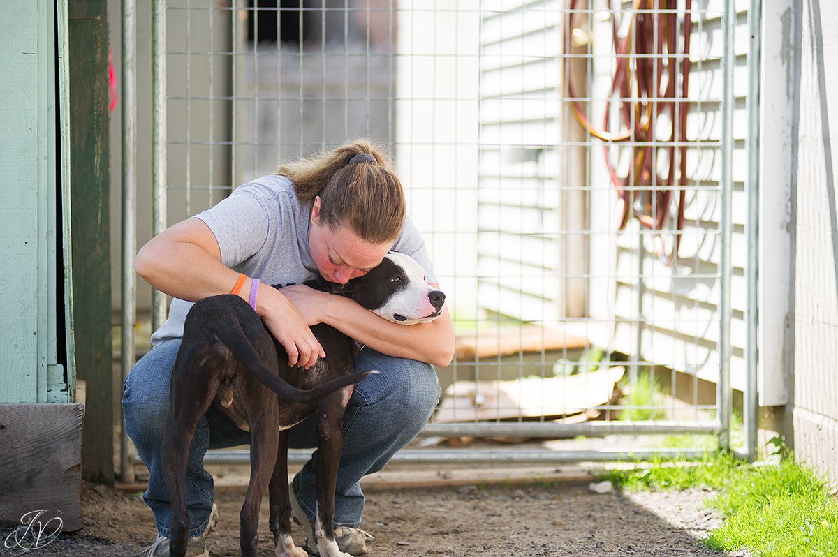 regional animal shelter, animal rescue