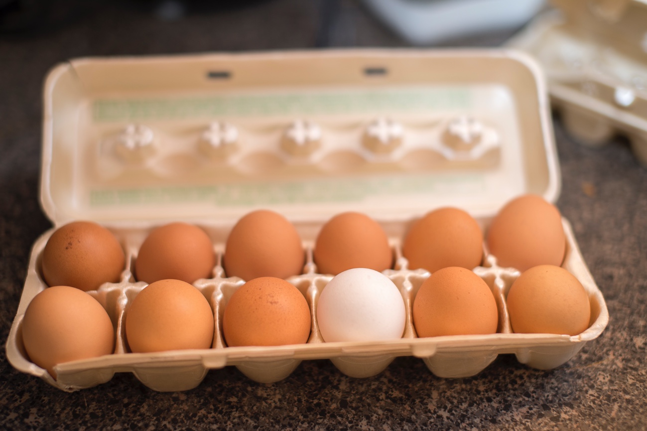 2024 TODOS SANTOS, BCS, WEEK 4