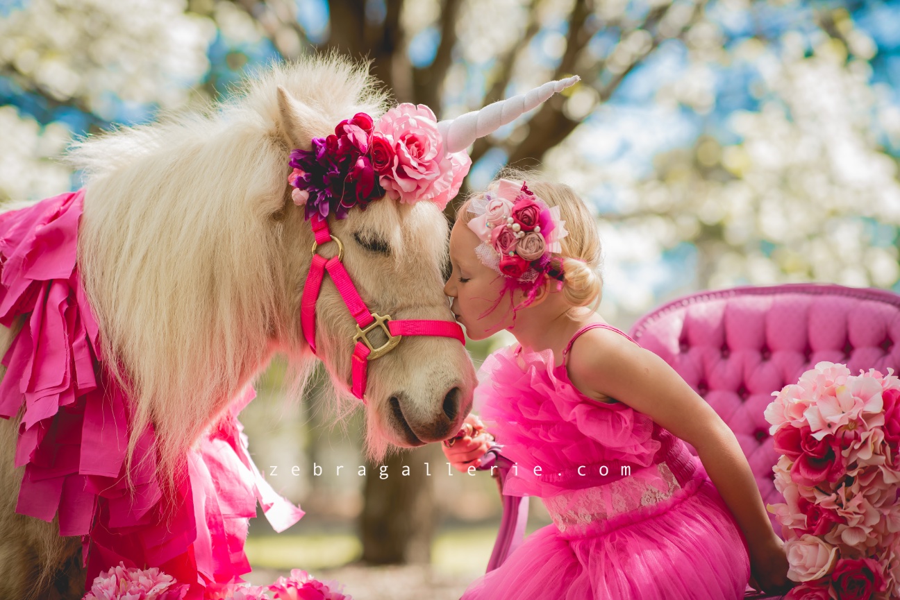 Zebra Pink Zebra Couple Stock Photo 210032896