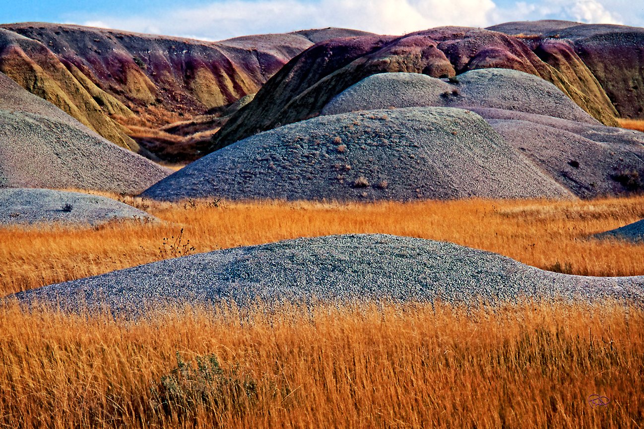 Whistle Holes At Tear Drop Arch 20x30