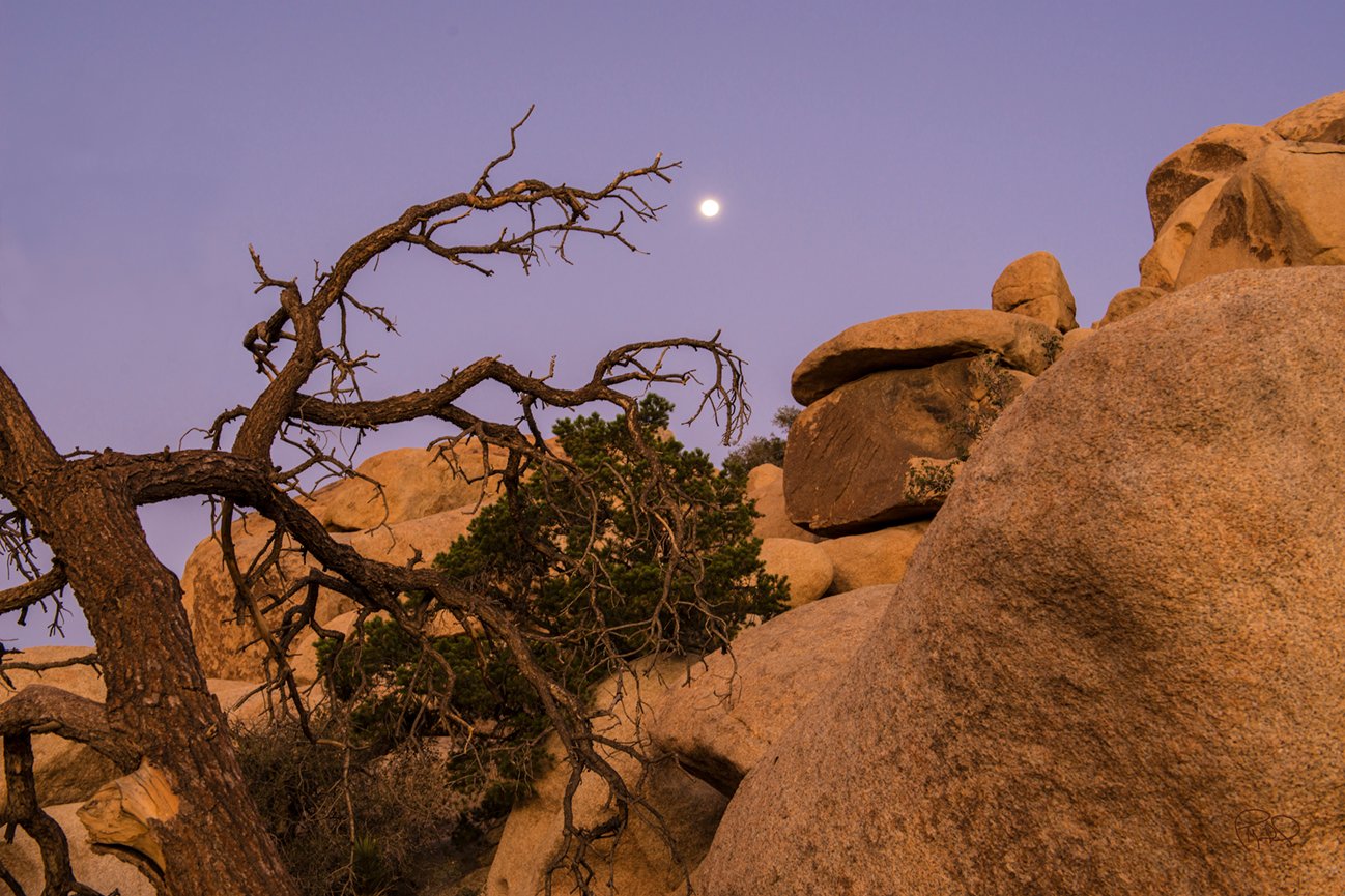 Sedona Pano Two 10x30 / 16x48 / Custom