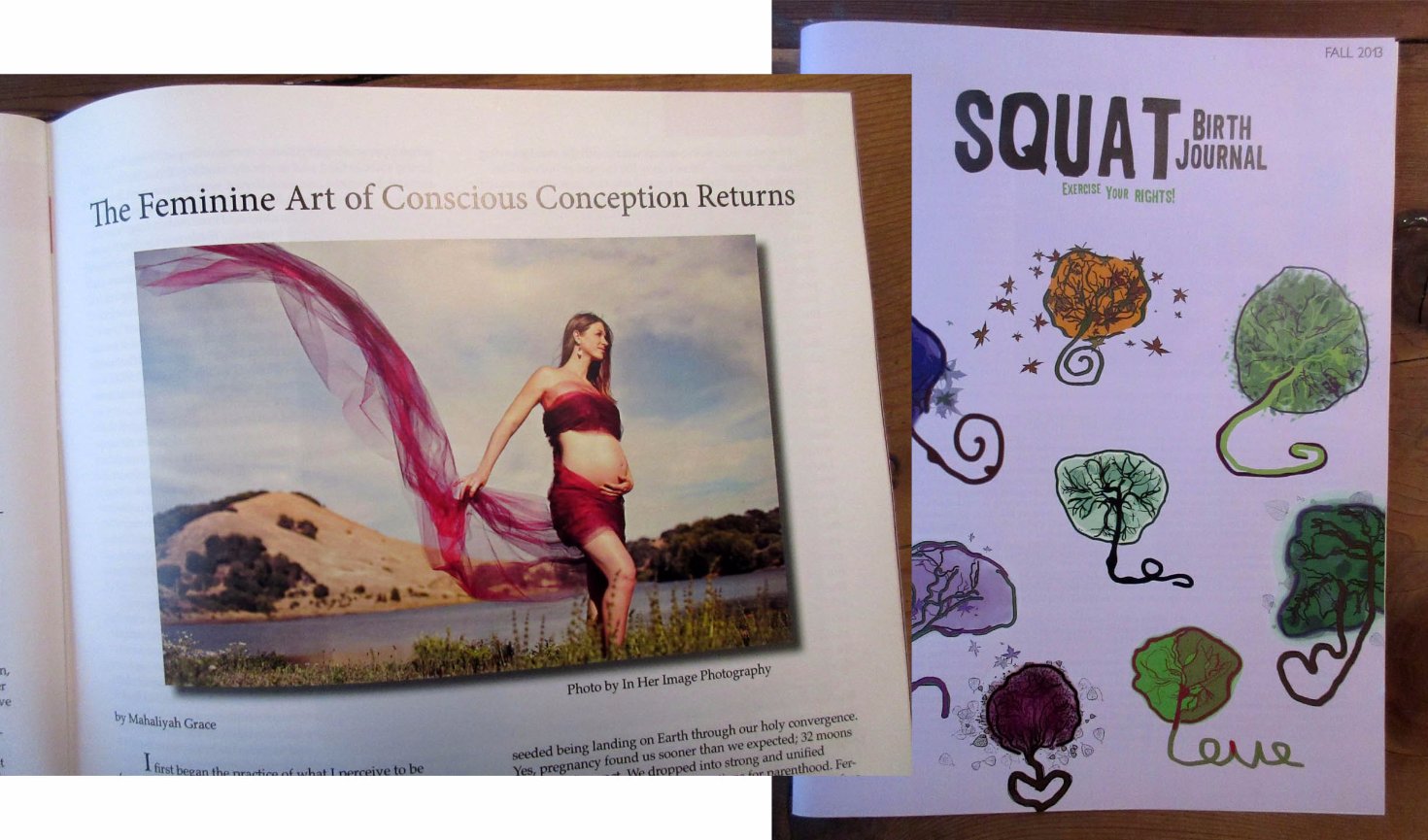 Feature Article Image