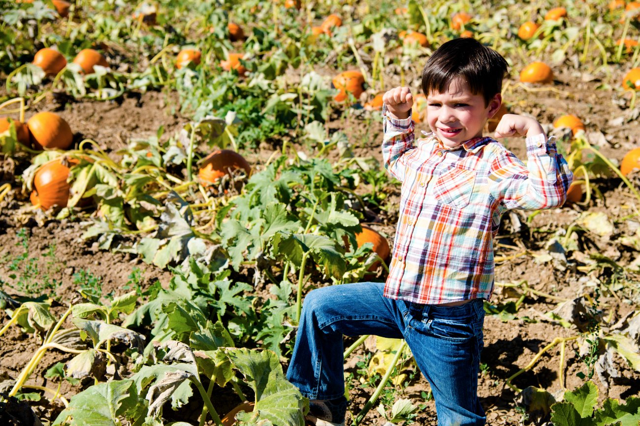 Pfaff Family Portraits in a pumpkin patch