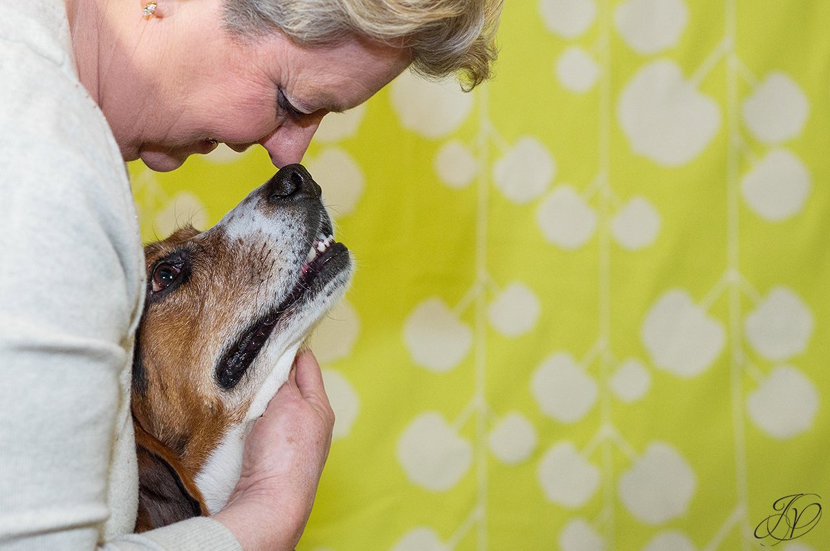 dog portrait fundraiser, fundraiser for dog shelter, regional animal shelter