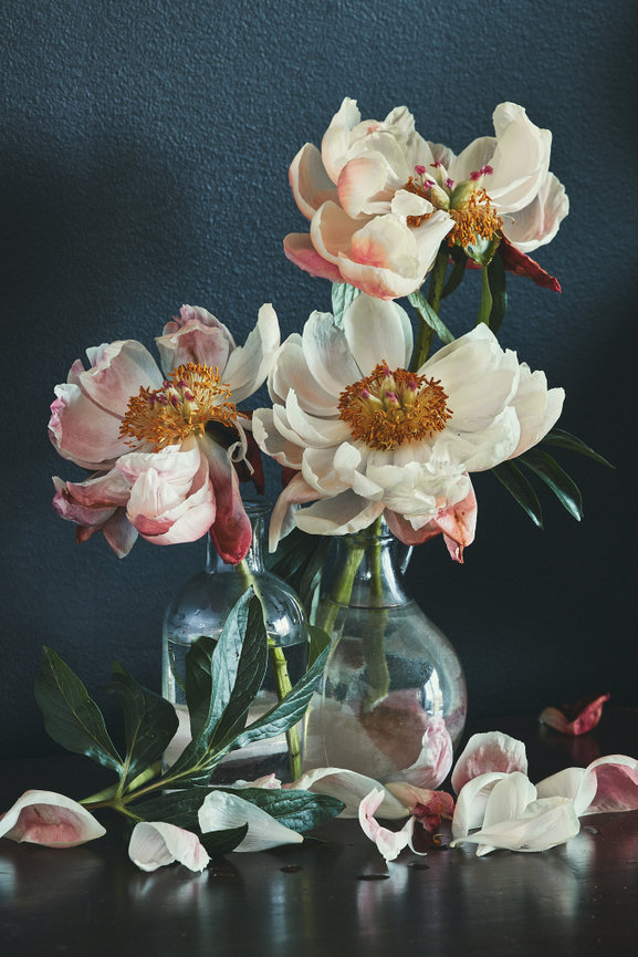 A Smattering of (pre)Work