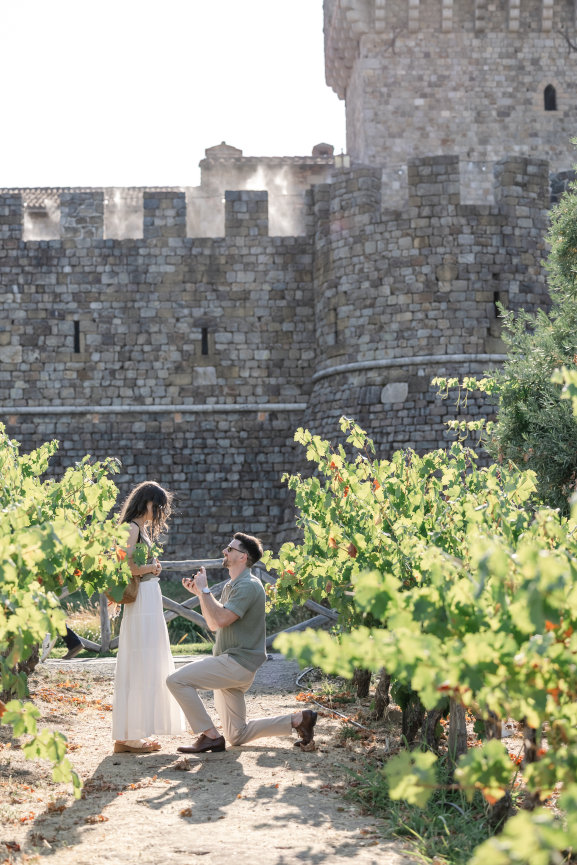A Stunning Indian-American Wedding at Limerick Lane Cellars in Healdsburg Studio J Portraits