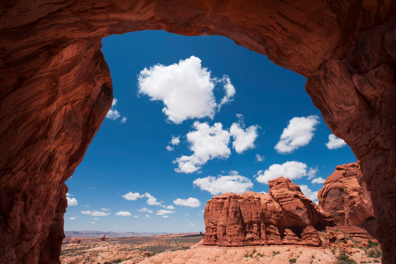 PROFIT OR PASSION (11.07.2014)