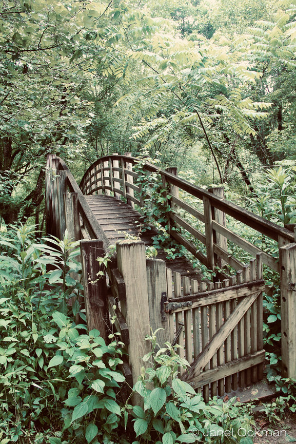 Schedule YOUR Professional Headshot - Serving Greensboro and The Greater NC Triad