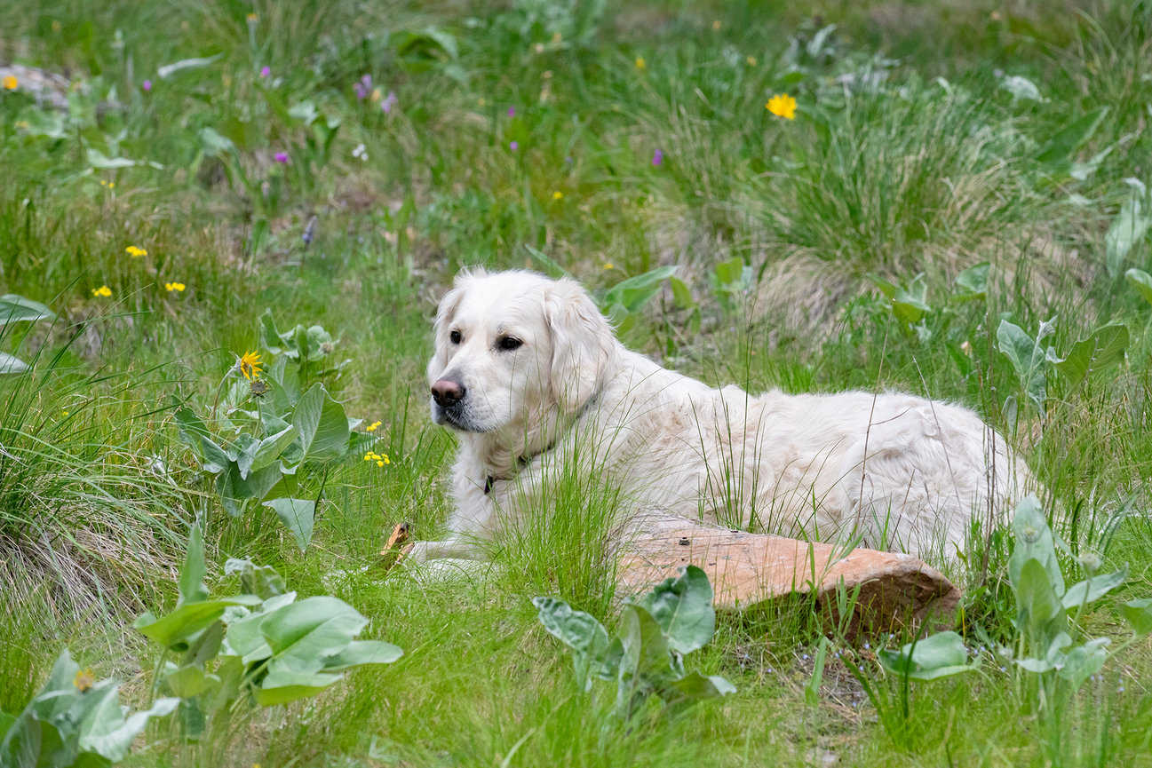 What to expect in a Photo Story Branding Session