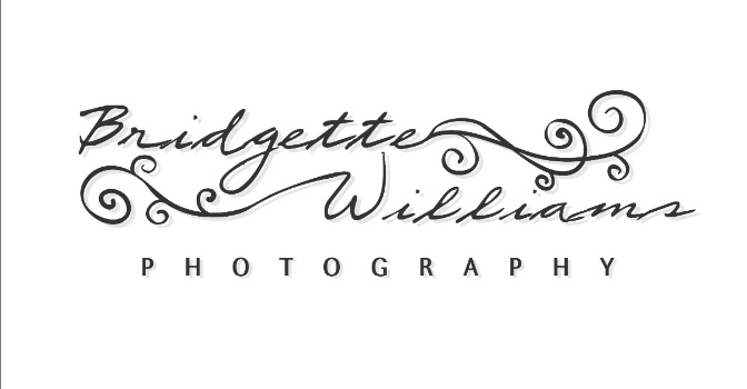 Bridgette Williams Logo