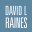 David L Raines Photography LLC Logo