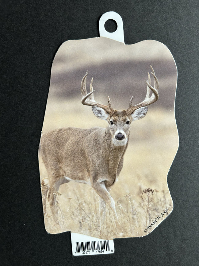 Whitetail Buck S6 698