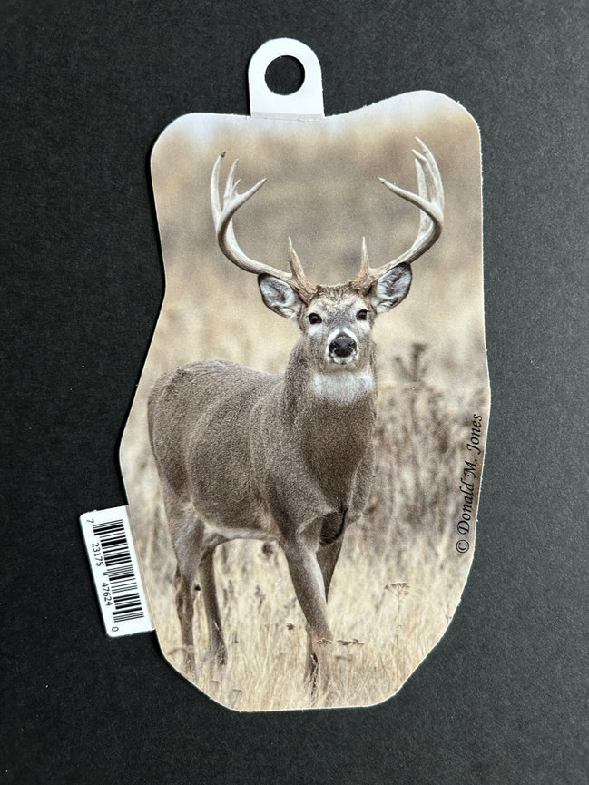 Whitetail Buck S6 699