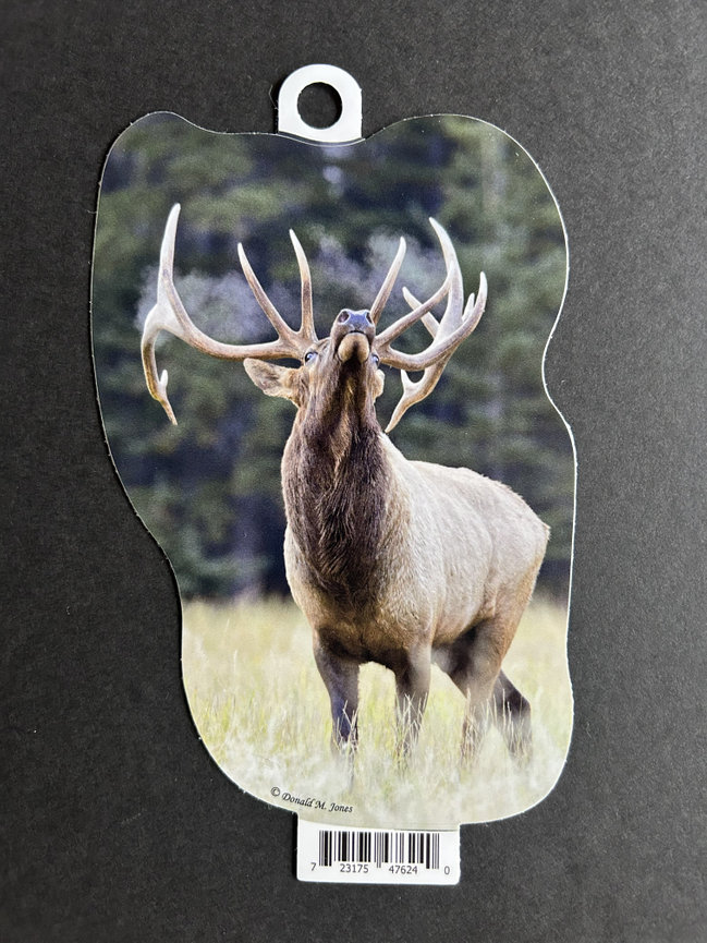 Bull Elk S6 695