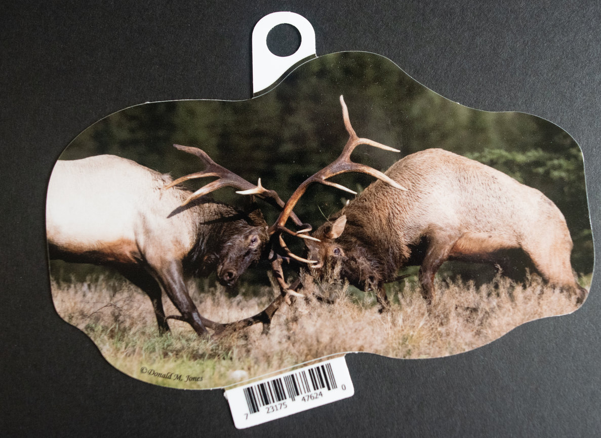 Bull Elk S6 546
