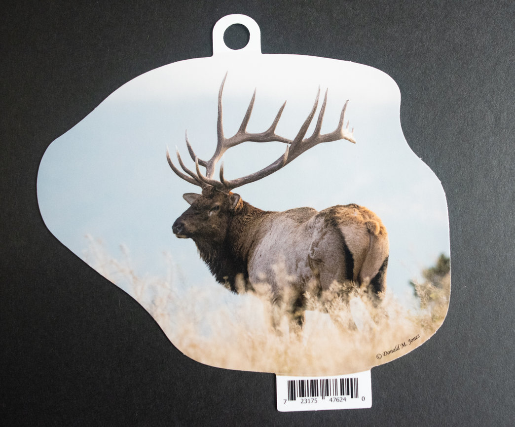 Bull Elk S6 547