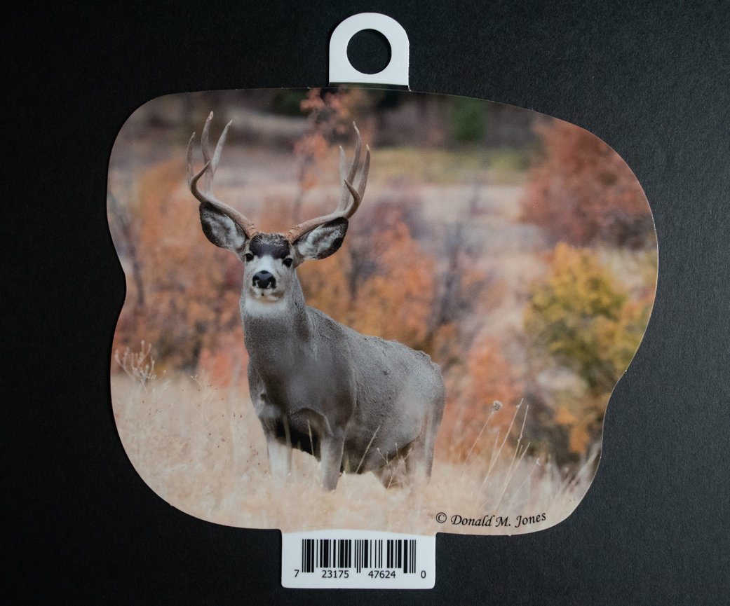 Mule Deer S4 715