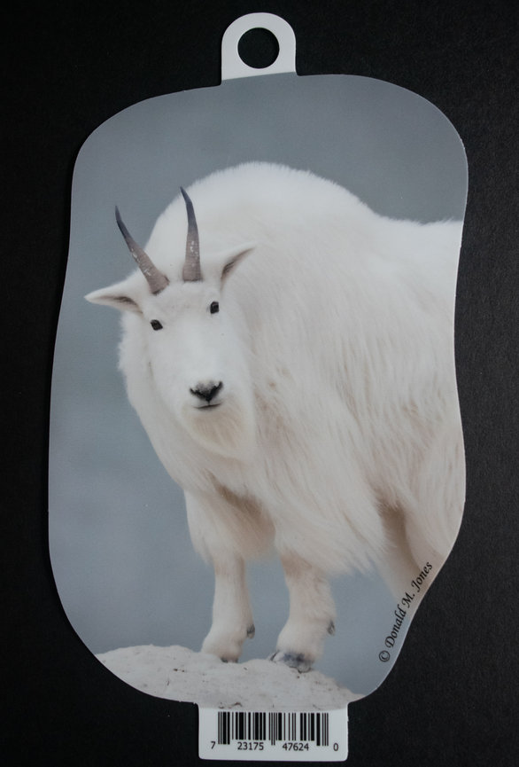 Mountain Goat S6 727