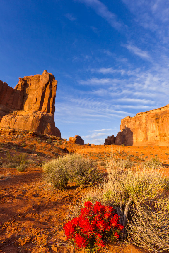 Arches and Paintbrush 4038