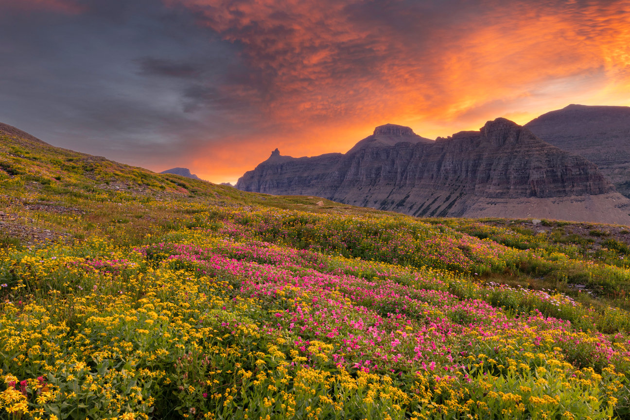 Logan Pass Garden Wall CH 4160