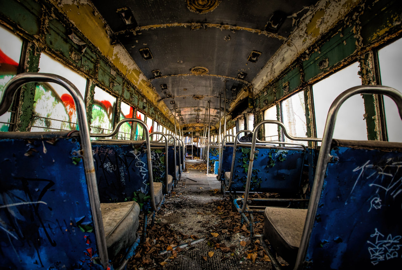 Small Doesn’t Mean Fragile: How Local Shops Outrun Uncertainty