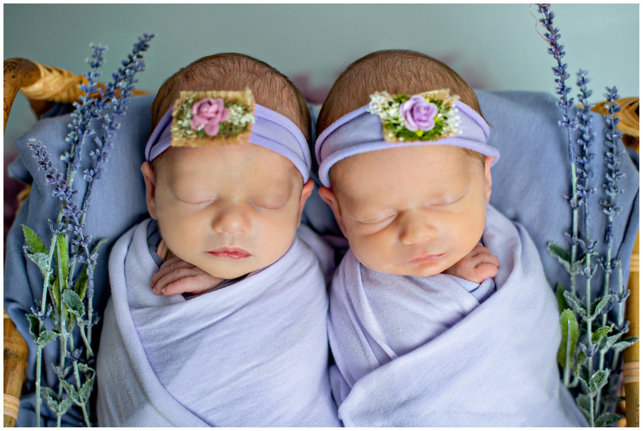 Argyle Newborn Photographer