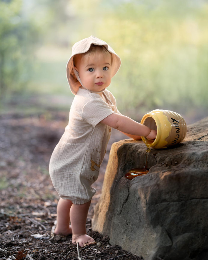 Custom Fairy Sessions for Pittsburgh, Mars and Cranberry Township