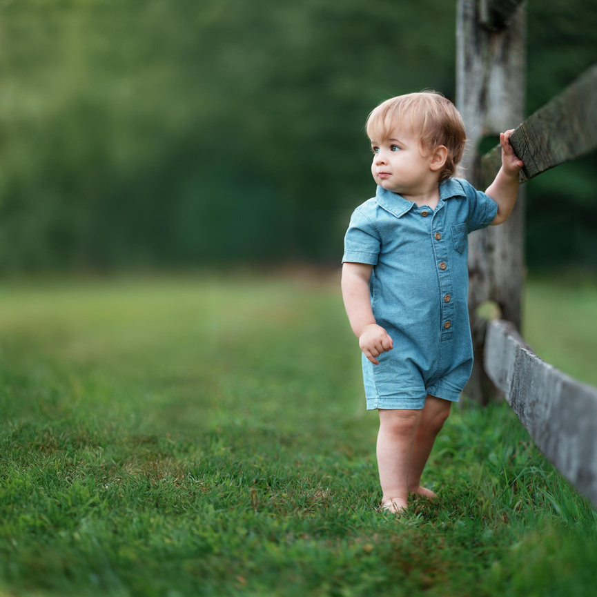 Custom Fairy Sessions for Pittsburgh, Mars and Cranberry Township