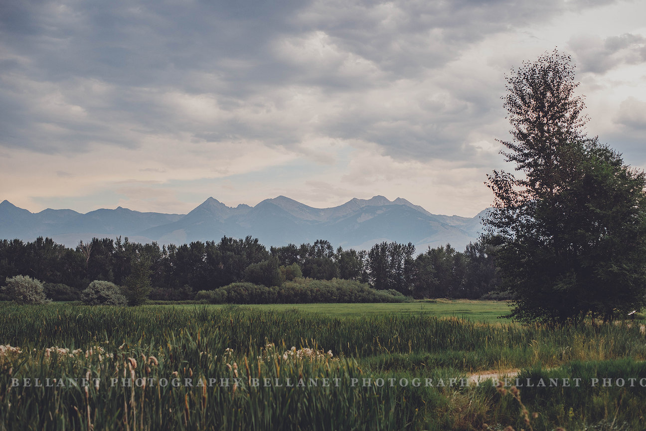 Nick and Eva Sweet Water Hollow Salmon Idaho Idaho Wedding