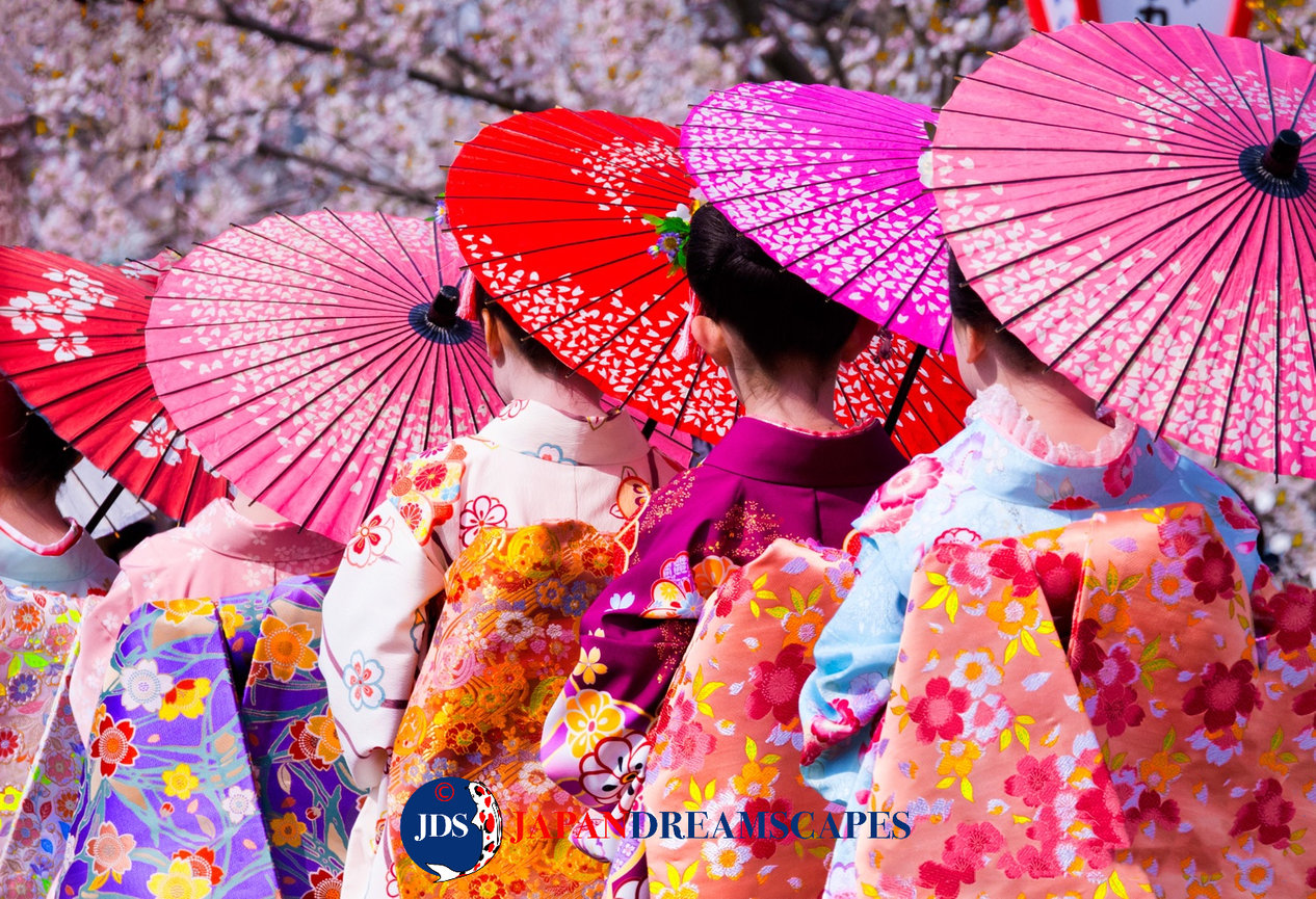 Exploring Hakone’s Hidden Cherry Blossom Photography Gems