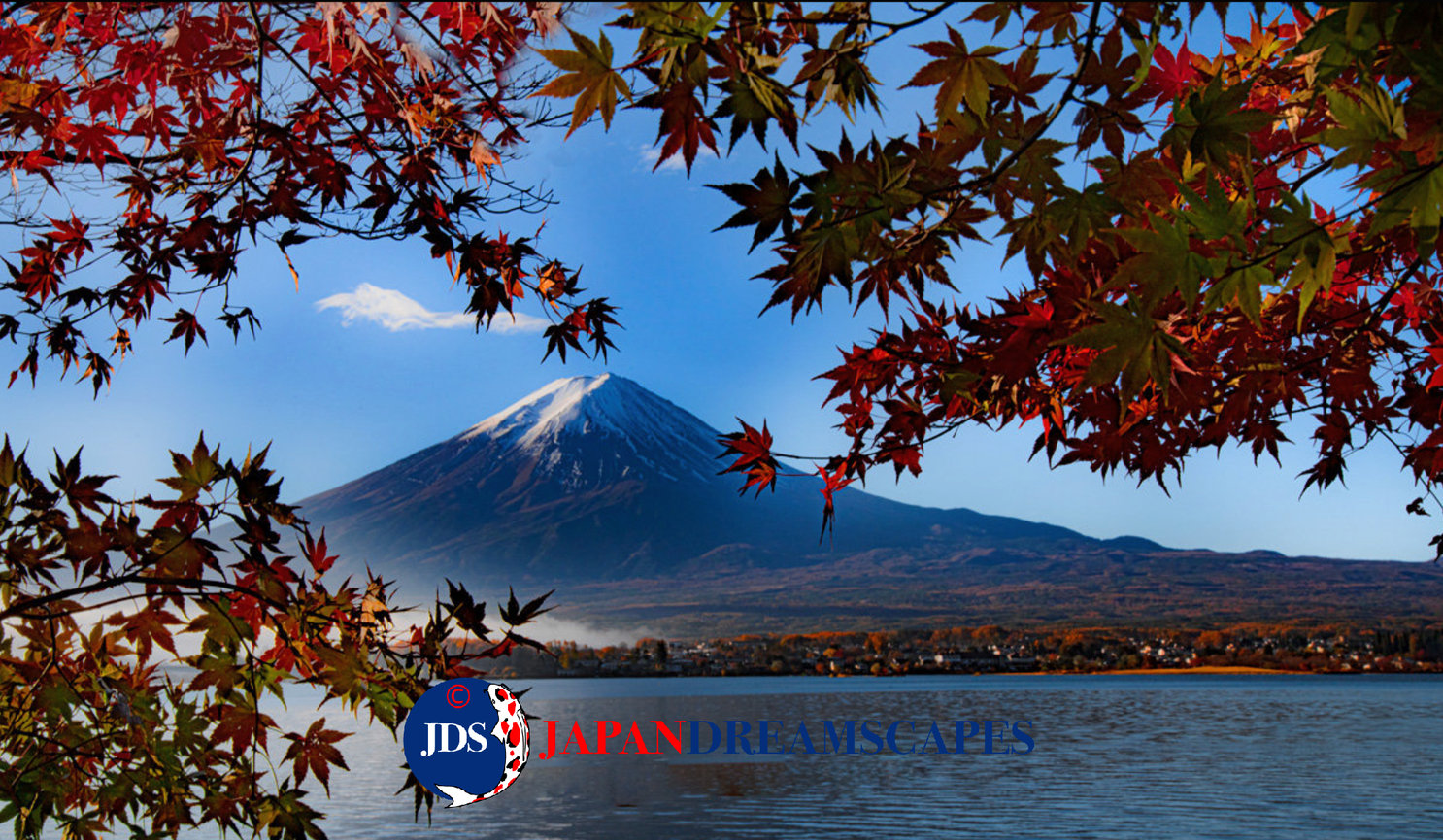 Japan Autumn Leaves Tour – Capture the Colors of Fall with JDS