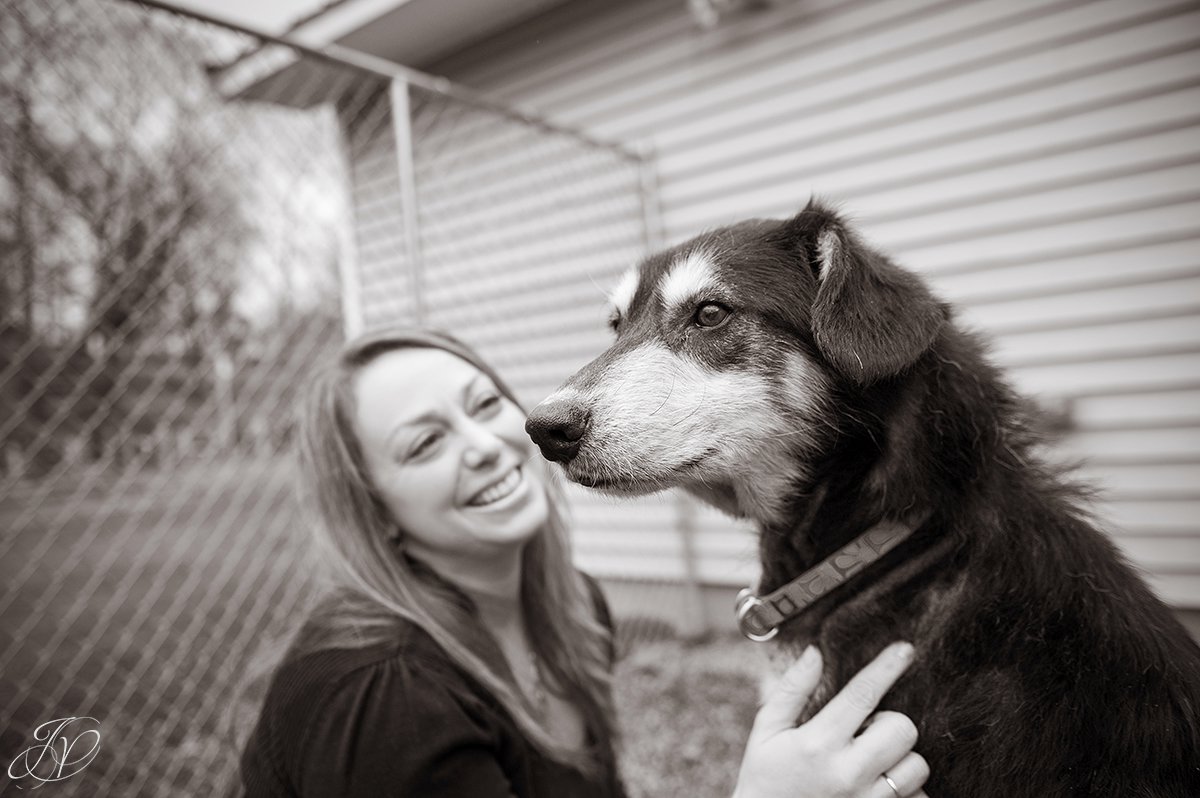 happy rescued dog, dog rescue photo, rescued dog photo, canine skin disease photo, regional animal shelter